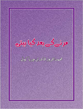 مرنے کے بعد کیا بیتی؟