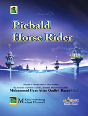 Piebald Horse Rider