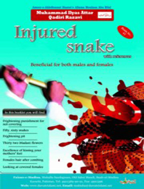 Injured Snake