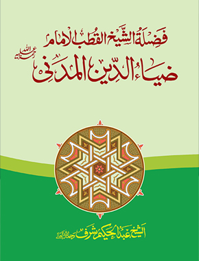 فضيلة الشيخ الامام ضياء الدين المدني